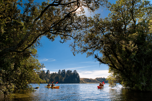 Waihi